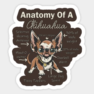 Chihuahua Funny Anatomy Of A Chihuahuas Sticker